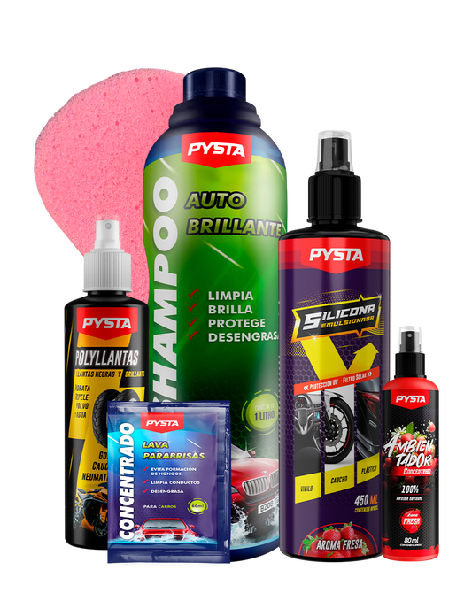 Kit de lavado para auto + Bolsa regalo