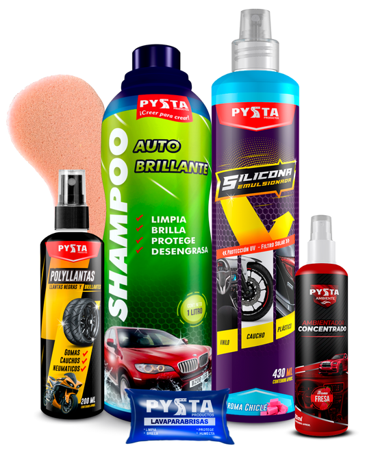 Kit de lavado para auto + Bolsa regalo